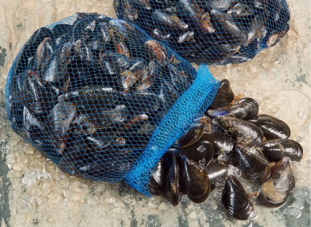 Taylor Shellfish Fresh Live Mussels