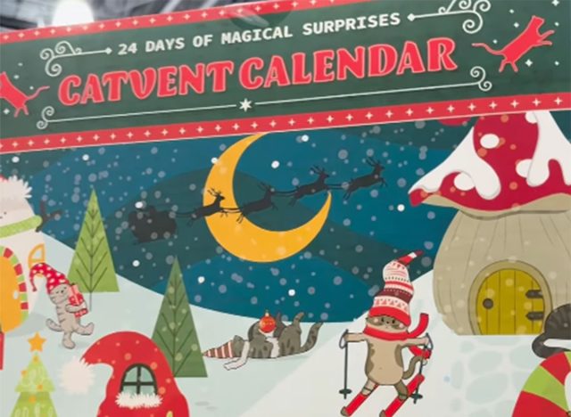 Catvent Calendar at Costco