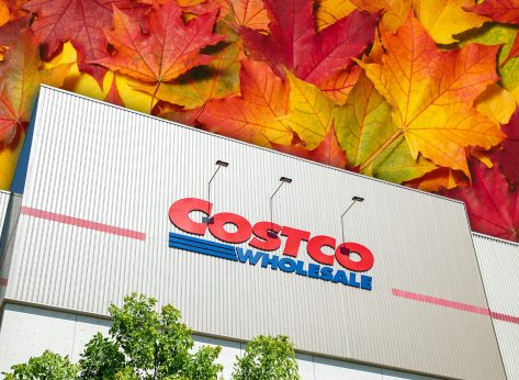 11 Best New Costco Finds Showing Up