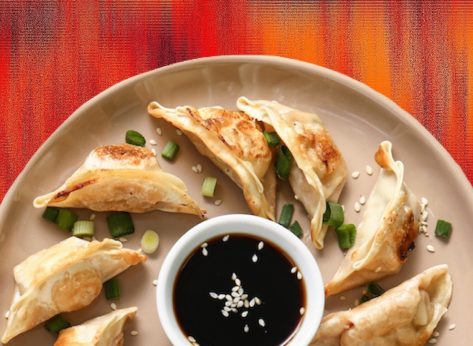 5 Best Frozen Dumpling Brands