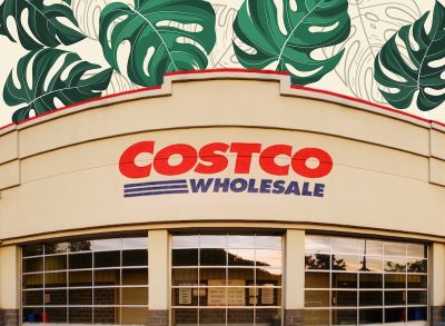 7 Best New Grocery Arrivals at Costco This January