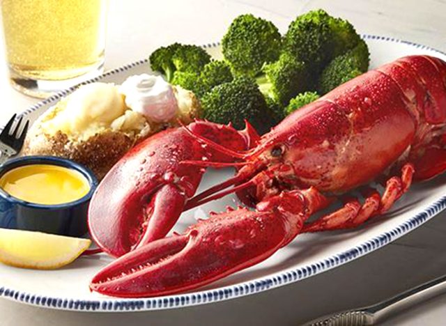 Red Lobster Live Maine Lobster