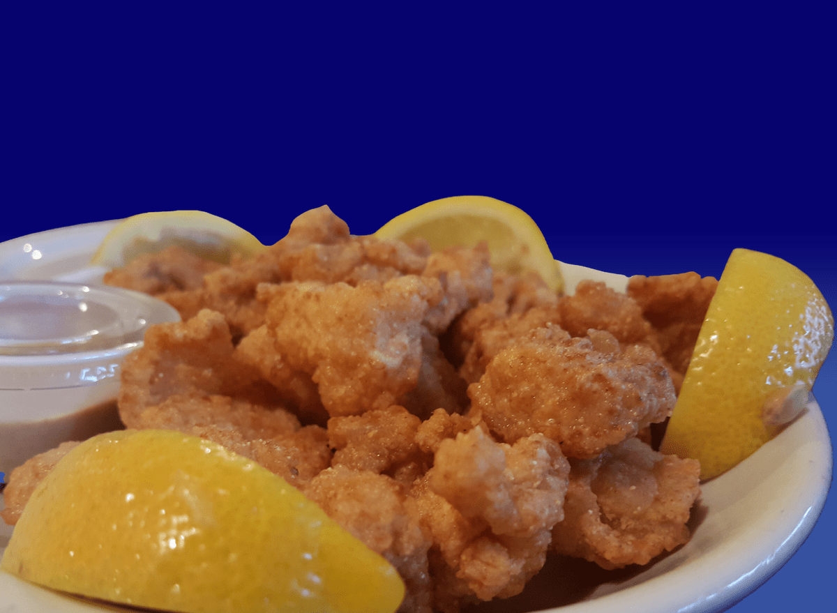 Food fried alligator gator blue background