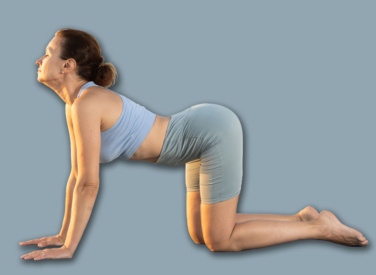 Skilled young female trainer performing cat-cow pose of yoga on seashore at sunrise outdoors