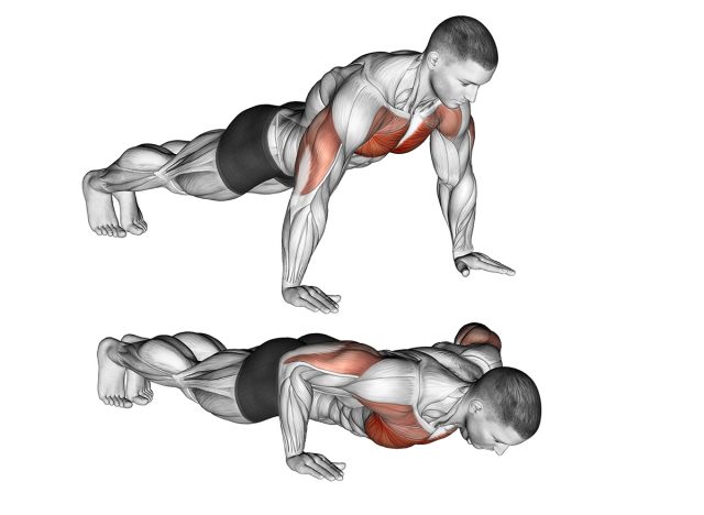 Push-up on Floor. Chest exercise
