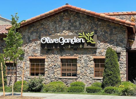 7 Best Olive Garden Pastas Diners