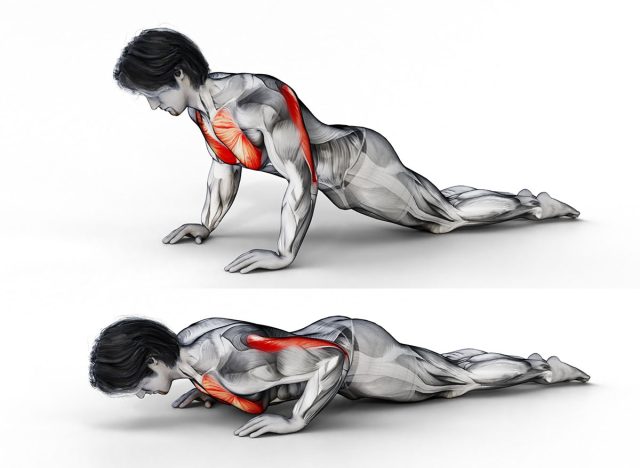 Kneeling Push-Up-3D (056)