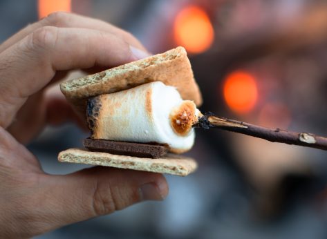5 Best Marshmallow Brands for S'mores Season