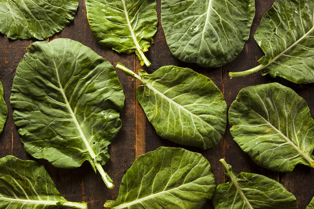 Spring foods collard greens