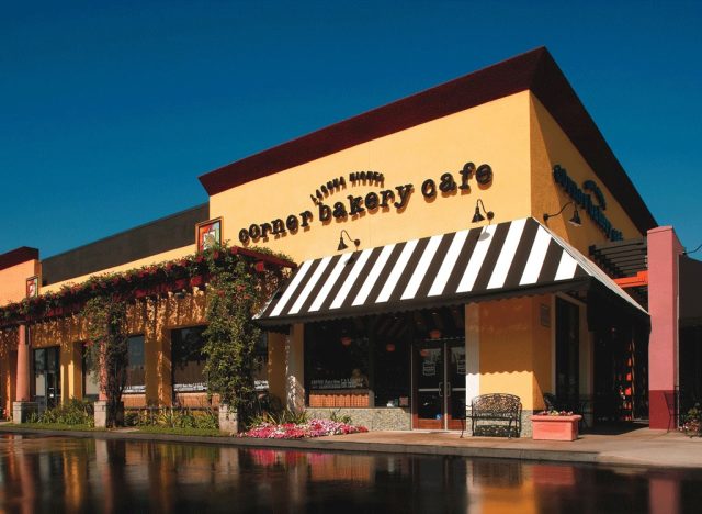 Another Bakery Chain Rivaling Panera Declares Bankruptcy