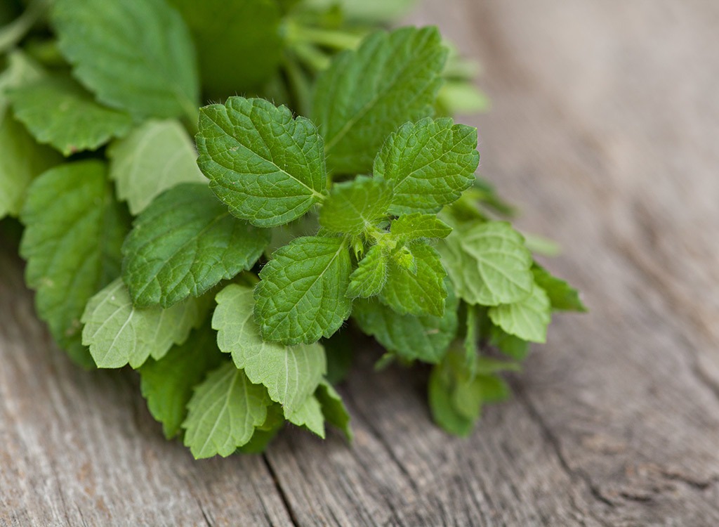 Best cuisine ingredients mint