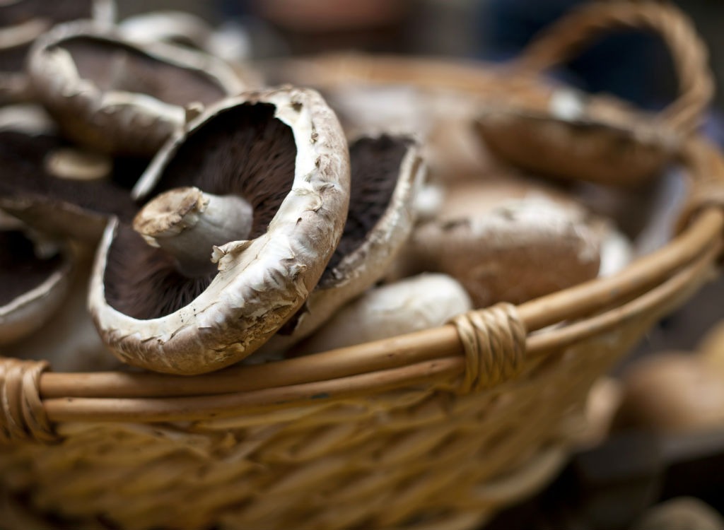 mushrooms in basket