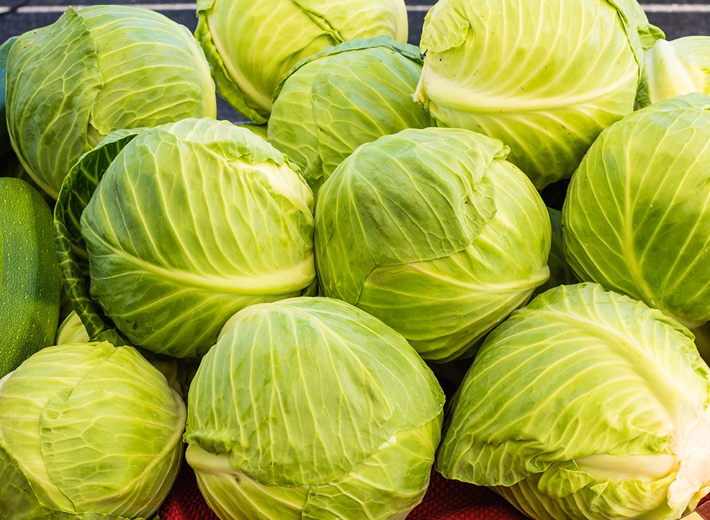 Cabbage