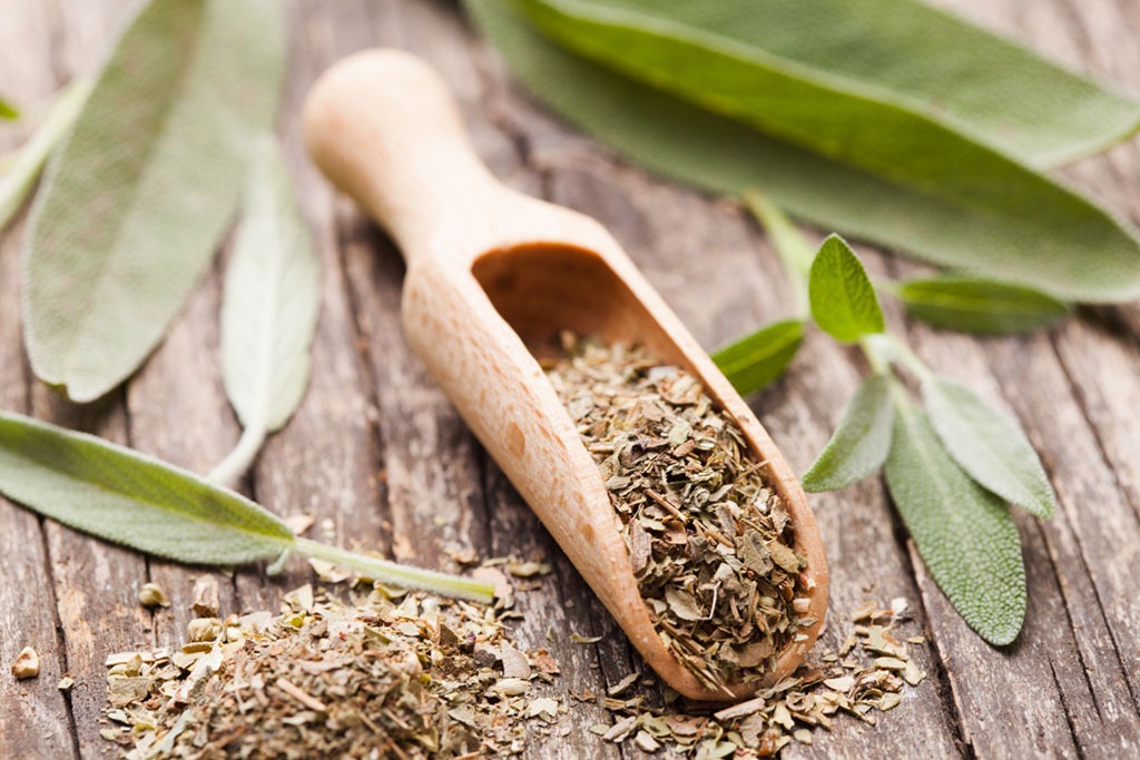 Casserole tips natural herb sage