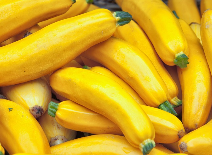 Yellow squash 