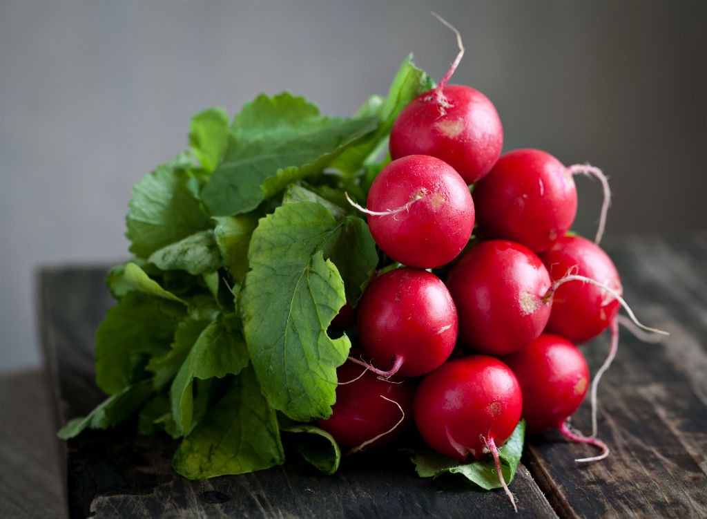 Spring foods radish