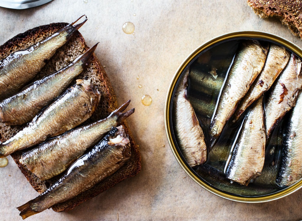 Fish ranked Canned Sardines in oil