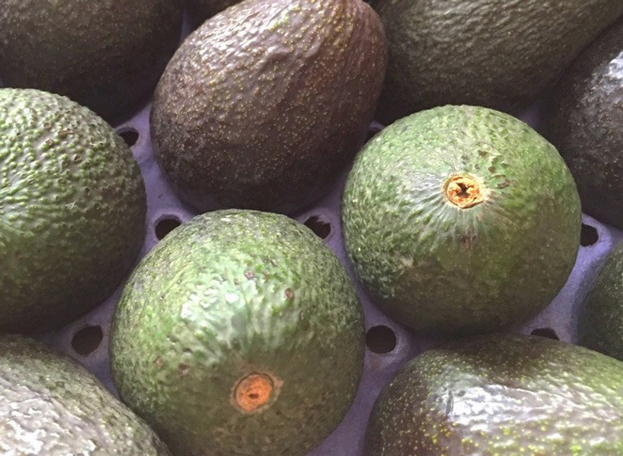 Hass avocados