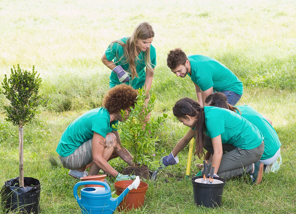 Team volunteering outside