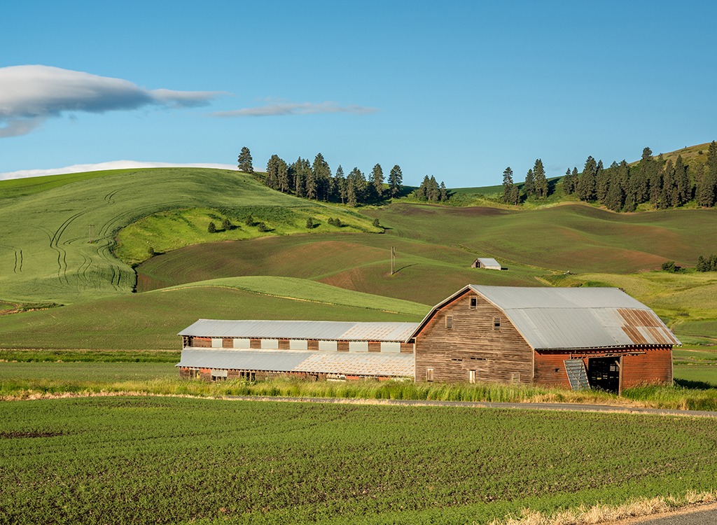 Country farm with trees and barn