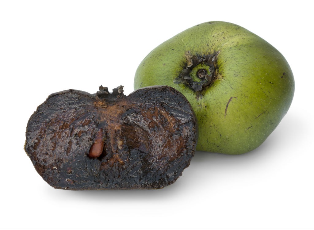 black sapote