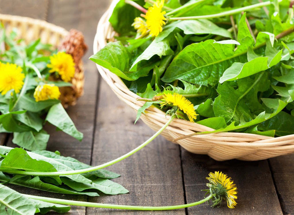 Spring foods dandelion greens