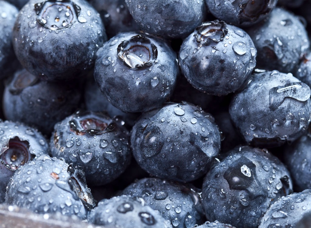 blueberries close up