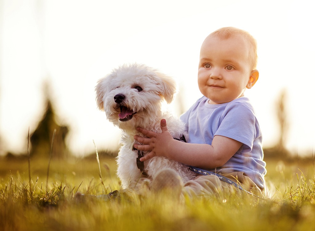 Baby and dog