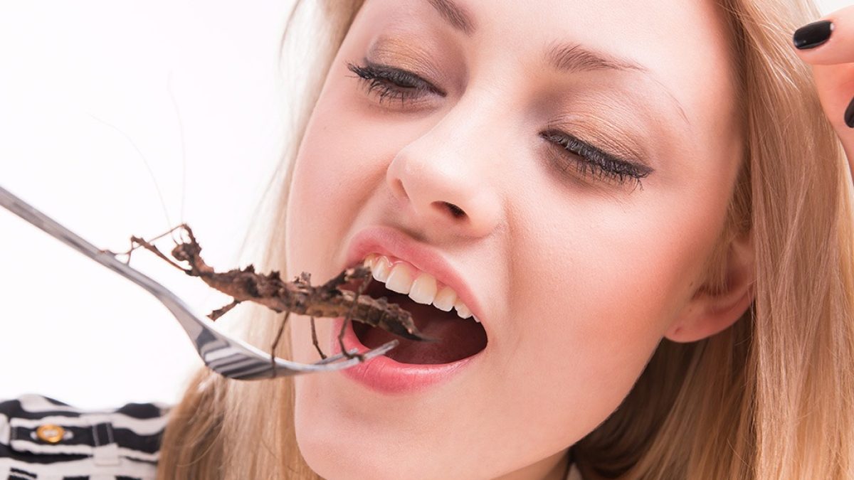 The 4 Most Nutritious Bugs to Eat Eat This Not That
