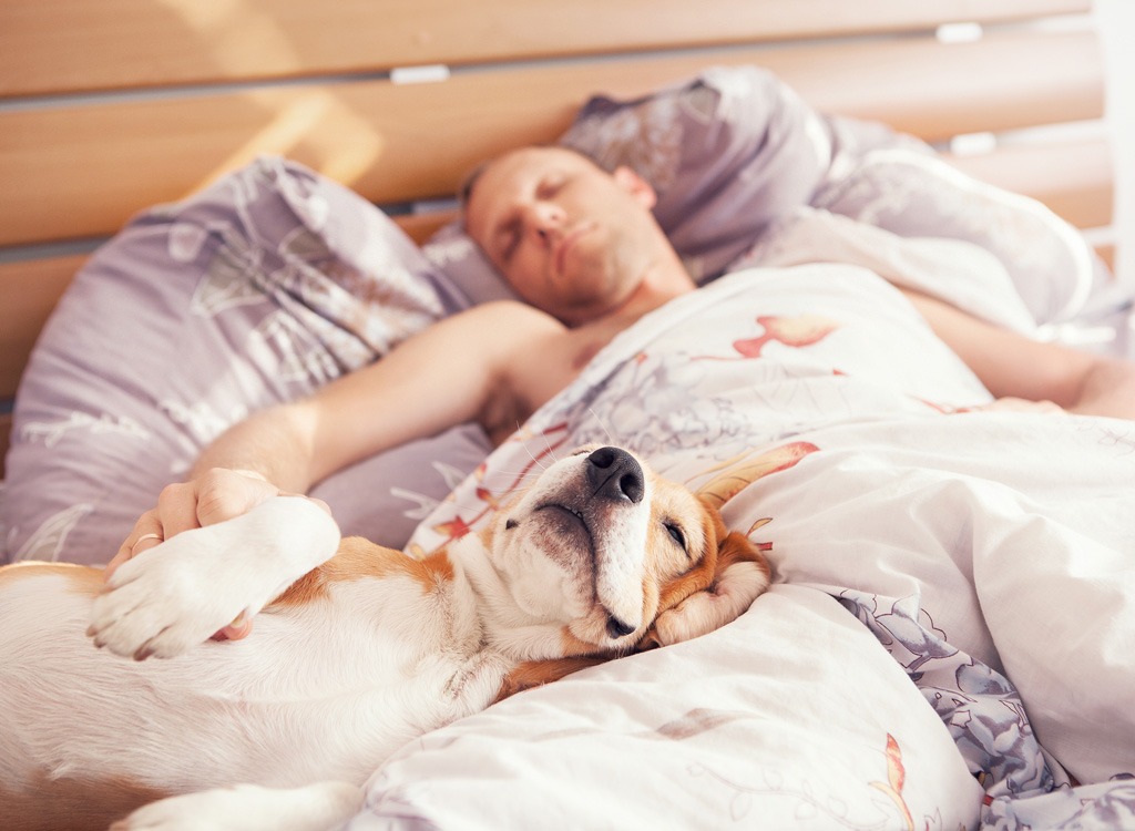 Man sleeping in bed with dog