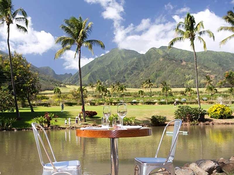 Best FarmtoTable Restaurants in America Eat This Not That