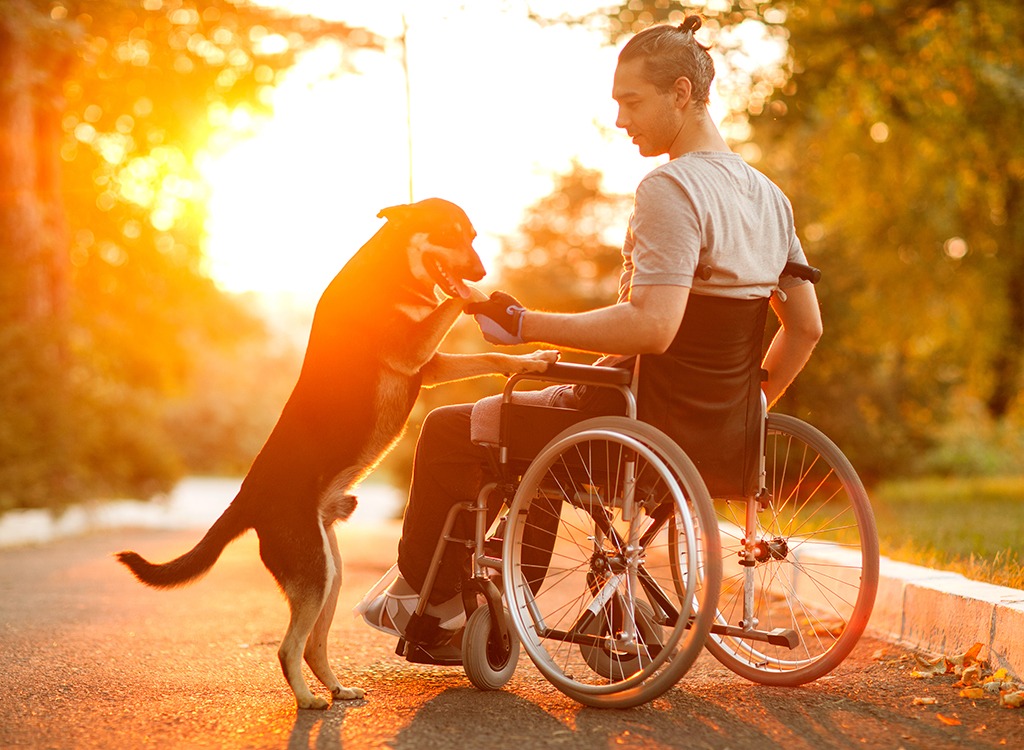 Man in wheelchair with dog