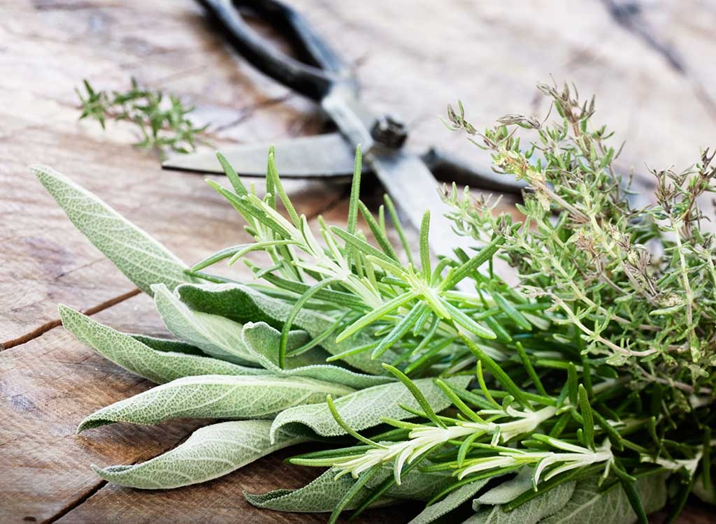 herbs fresh with scissors