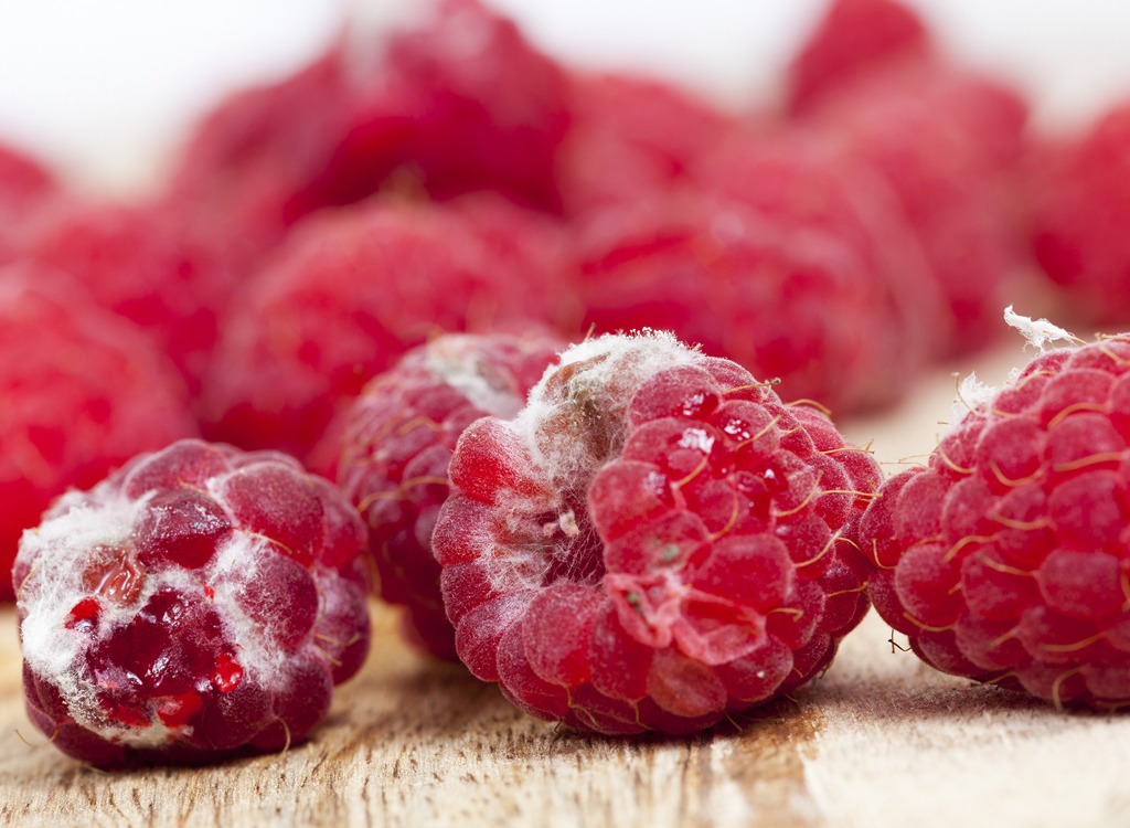 Moldy raspberries