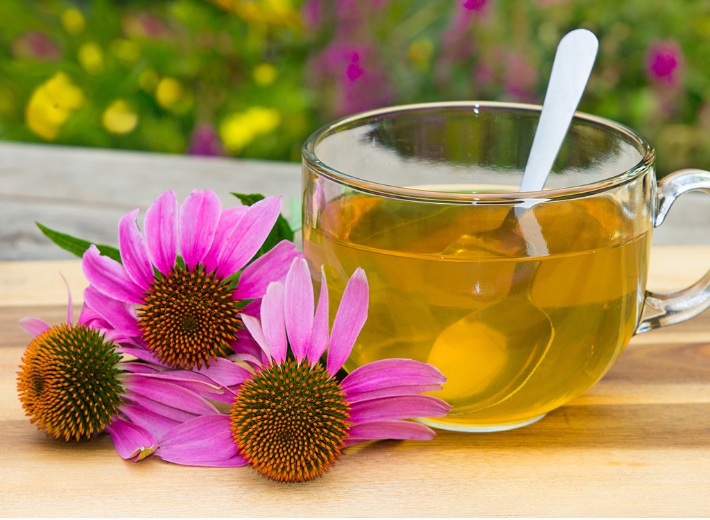 echinacea tea