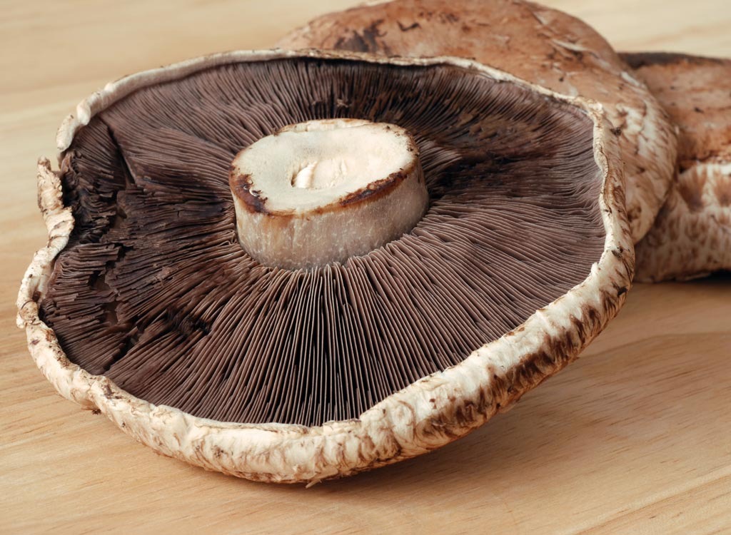 Portobello mushroom cap