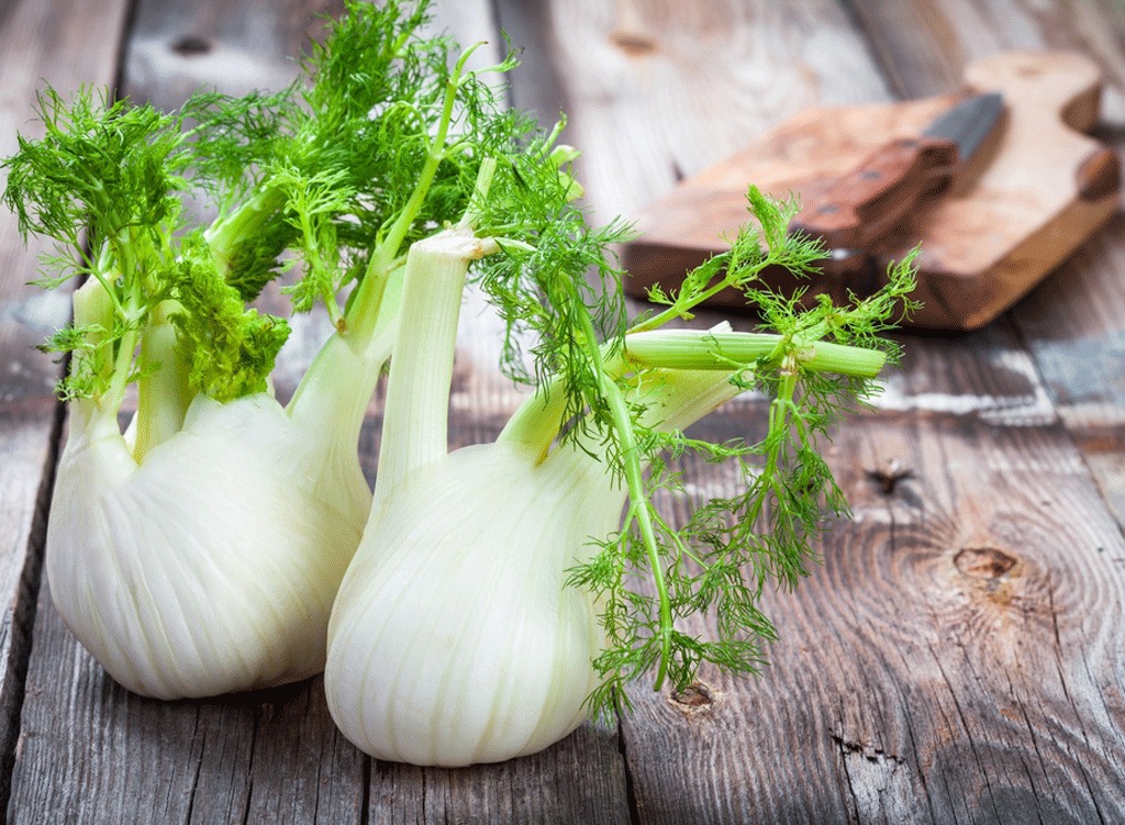 Fennel