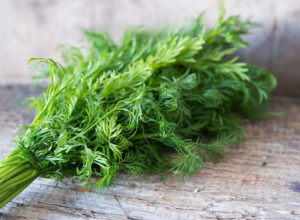 Spring foods fennel