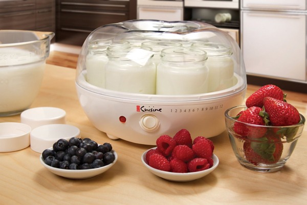 https://www.eatthis.com/wp-content/uploads/sites/4/media/images/ext/822428761/euro-cuisine-yogurt-maker.jpg