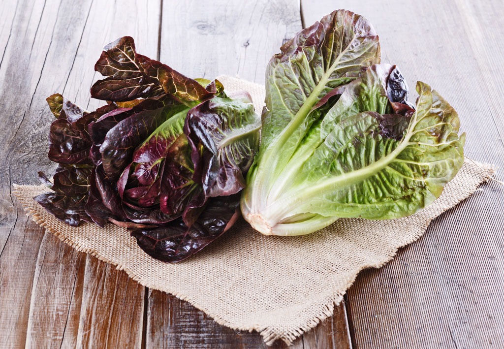 8 salad greens and their benefits