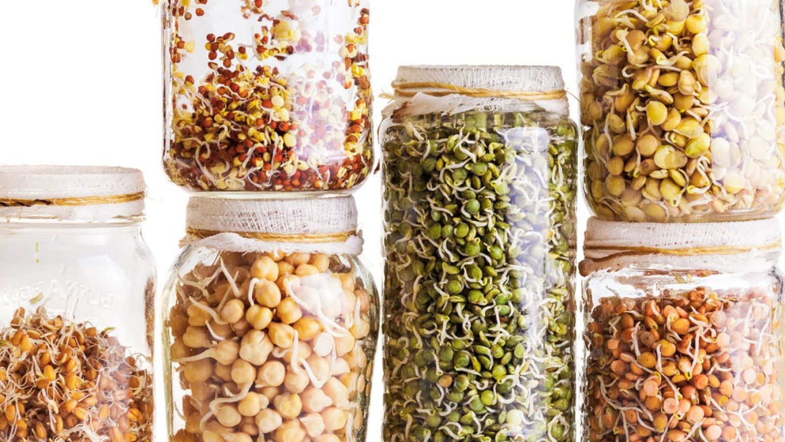 Sprouted Foods, Benefits, and How to Sprout Food Eat This Not That