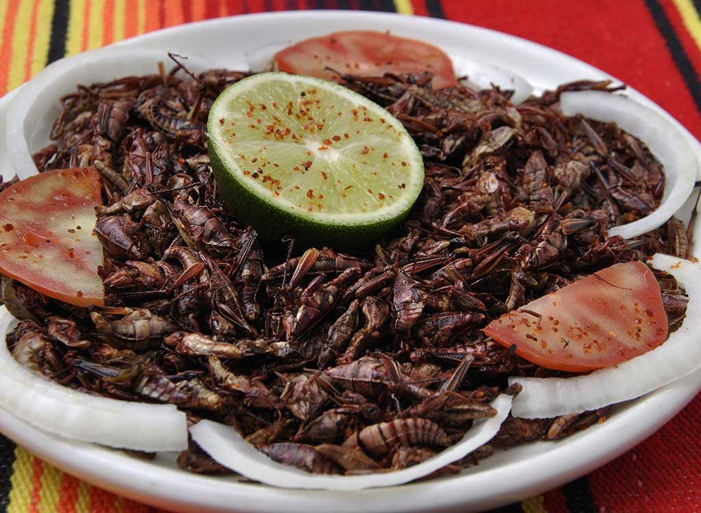 grasshoppers