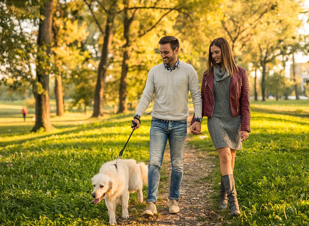 Couple walking golden retriever