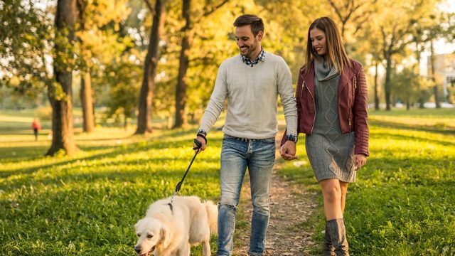 Happy couple walking dog