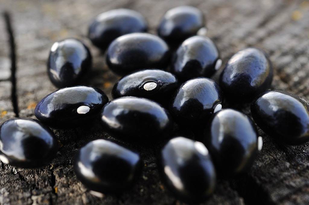 best weight loss foods - black bean