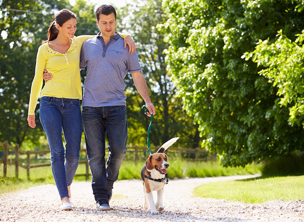 Couple walking dog