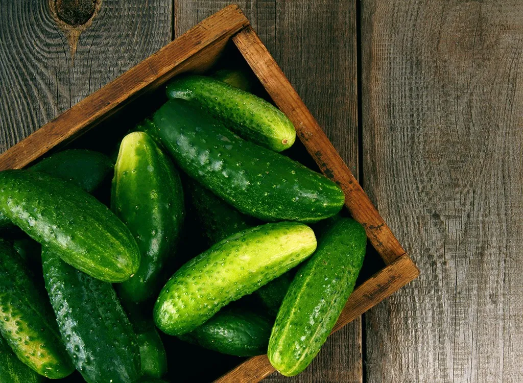 Biggest loser cucumbers