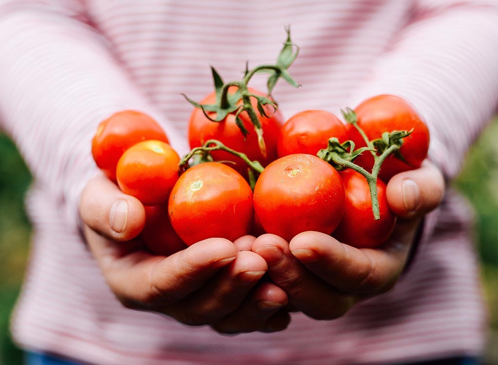 tomatoes