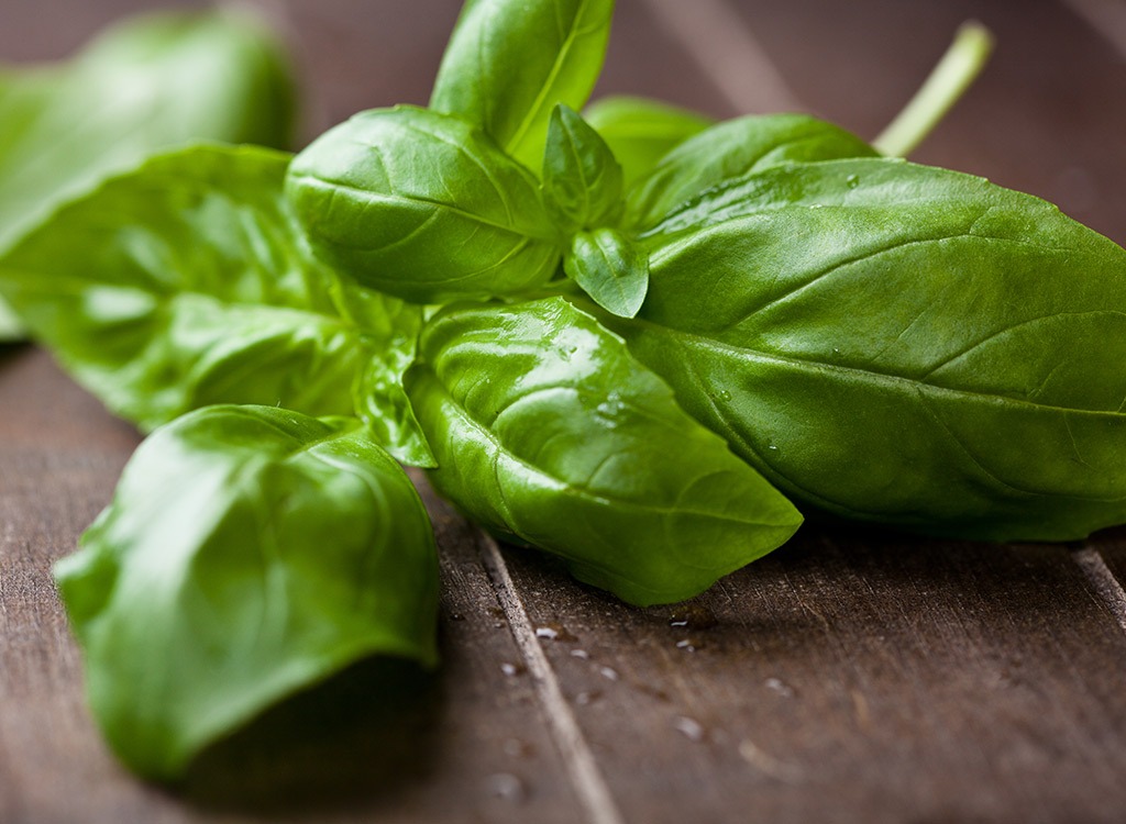 fresh basil leaves