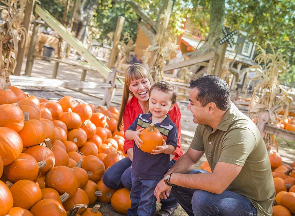 parents with pumpkins